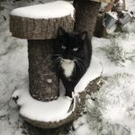 Wayne & Mandy Biggs - @wayne_mandy_biggs - Instagram