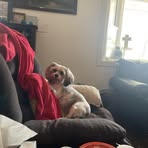 Mandy Blackburn - Facebook