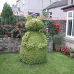 Mandy Blackburn - Facebook