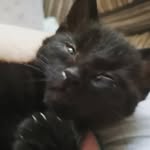 Mandy Blackwell - @mandy.blackwell.737 - Instagram