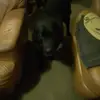 Mandy Blackwell - @mandy.blackwell2 - TikTok