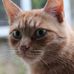 Mandy Beck - Facebook