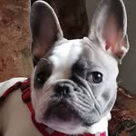 Mandy Bohn - @bohn8277 - Instagram