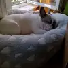 Mandy Bohn - @mandy.bohn - TikTok