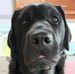 Mandy Bond - Facebook