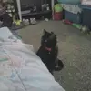 mandypanda98 - @mandybooth8 - TikTok