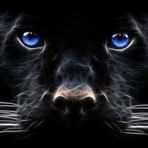 Mandy Bosse - Facebook