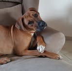 Mandy Bosse - Facebook