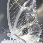 Mandy Boucherot - @mandyboucherot - Instagram
