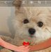 Mandy Bouse Short - Facebook