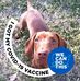 Mandy Bowden - Facebook