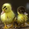 Mandy Bowden - @user7mio1my4fe - TikTok