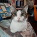 Mandy Boyle - Facebook