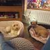 Mandy Boyle - Facebook