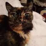 Mandy Boyle - @mandy.boyle.716 - Instagram