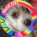 Mandy Boyles - Facebook