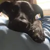 Mandy Braun - @mandy.braun3 - TikTok