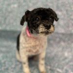 Mandy Brewer - @mandy.brewer.148 - Instagram