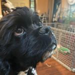 Mandy Brewer - @mandy.brewer.98 - Instagram