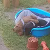 Mandy Briggs - @mandy.briggs2 - TikTok