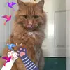 Mandy Burgess - @mandyburgess7 - TikTok