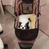 Mandy Burgess - @mandy.burgess1 - TikTok