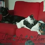 Mandy Buss - @happybunnykudzcutz - Instagram
