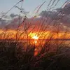 mandybuss387 - @mandybuss387 - TikTok