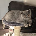 Mandy Butler - @mandy.butler.58 - Instagram