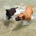 Mandy Butler - Facebook