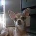 Mandy Butler - Facebook
