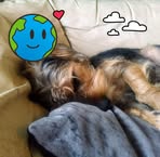 Mandy Cartwright - Facebook