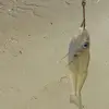 mandycassidy00 - @mandycassidy00 - TikTok