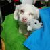 Mandy Cavazos - Facebook