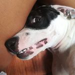 Mandy Cavero - @mandycavero22 - Instagram