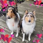 Amanda Chaffin - @amanda.chaffin.7568 - Instagram
