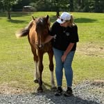 Amanda Chaffin - @ventureswithvienna - Instagram