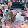 Mandy Chaffin - @mandychaffin933 - TikTok