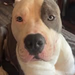 Mandy Lovejoy Chaffin - @amandalovejoychaffin - Instagram