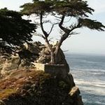 Mandy Kenny Chappell - @chappell.mandy - Instagram