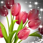 Mandy Chee - Facebook