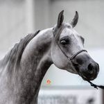 Mandy Childs - @u027457 - Instagram