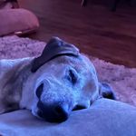 Mandy Childs - @mandychilds5 - Instagram