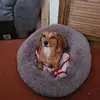 Mandy Clarkson - @mandy.clarkson61 - TikTok
