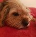 Mandy Clarkson - Facebook