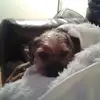 Mandy Clarkson - @mandy.clarkson - TikTok