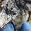 Mandy Clarkson - @mandy.clarkson4 - TikTok