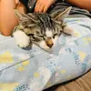 Mandy - @mandy.cleary - TikTok