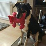 Amanda Clegg - @clegg6311 - Instagram
