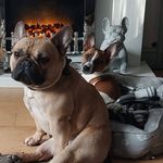 Mandy Clements - @mandy._c - Instagram